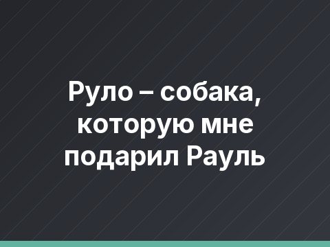 Руло – собака, которую мне подарил Рауль