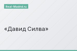 Давид Силва