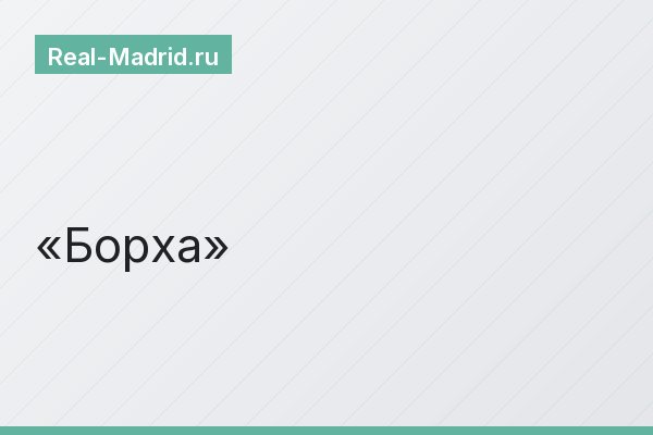 Борха