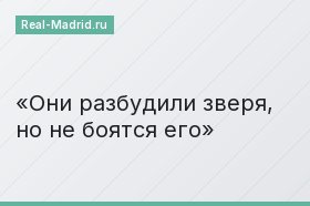 Они разбудили зверя, но не боятся его