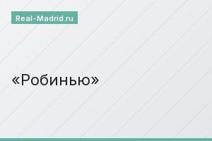 Робинью