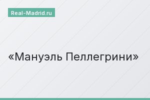 Мануэль Пеллегрини